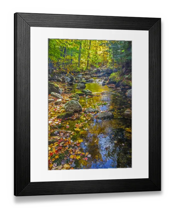 Framed Print : USA, New England, Maine Autumn and stream just off of Wild River Road