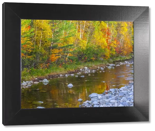 USA, New England, Maine, Wild River, reflections of Autumn colors in small river