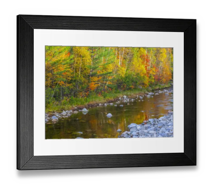 Framed Print : USA, New England, Maine, Wild River, reflections of Autumn colors in small river Framed Print : USA, New England, Maine, Wild River, reflections of Autumn colors in small river