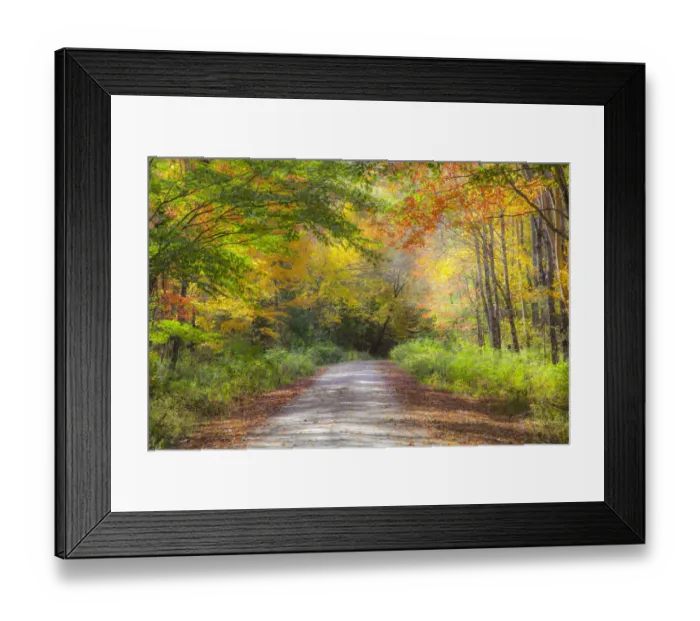 Framed Print : USA, New England, Maine, Wild River gravel road lined with Fall colored Birch