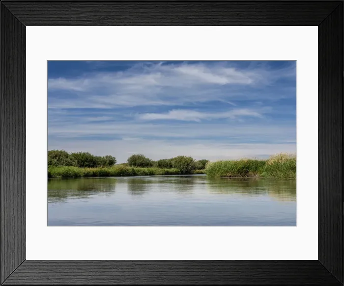 Framed Print : USA, Idaho. Teton River, willows and wetland near Driggs Framed Print : USA, Idaho. Teton River, willows and wetland near Driggs