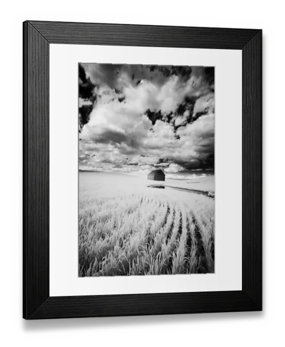 Framed Print : Infrared Palouse fields and barn. (PR)