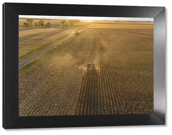 Aerial view of combine harvesting corn field at sunset, Marion County, Illinois