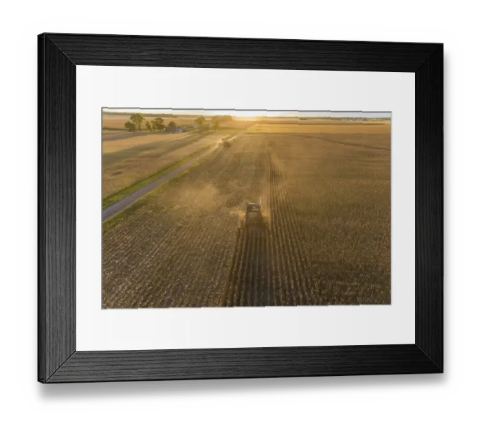 Framed Print : Aerial view of combine harvesting corn field at sunset, Marion County, Illinois Framed Print : Aerial view of combine harvesting corn field at sunset, Marion County, Illinois