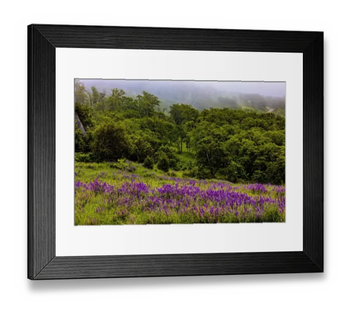 Framed Print : USA, California, Crescent City, Redwoods National Park, Bold Hills