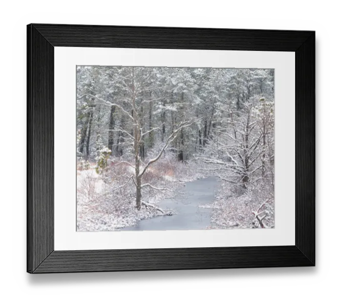 Framed Print : USA, New Jersey, Pine Barrens National Preserve. Winter scenic of stream and forest
