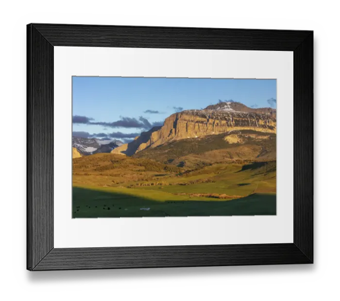 Framed Print : Cattle pastures below Walling Reef at sunrise near Dupuyer, Montana, USA Framed Print : Cattle pastures below Walling Reef at sunrise near Dupuyer, Montana, USA