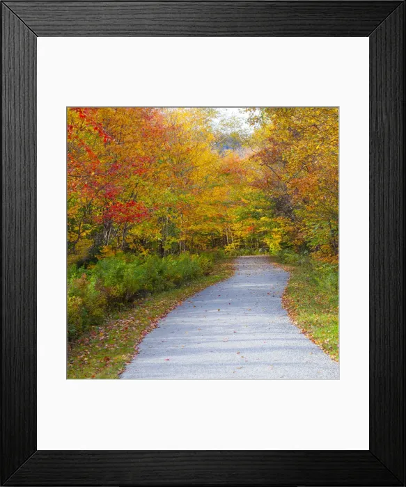 Framed Print : USA, New Hampshire, Franconia, one lane roadway with fallen Autumn leaves Framed Print : USA, New Hampshire, Franconia, one lane roadway with fallen Autumn leaves