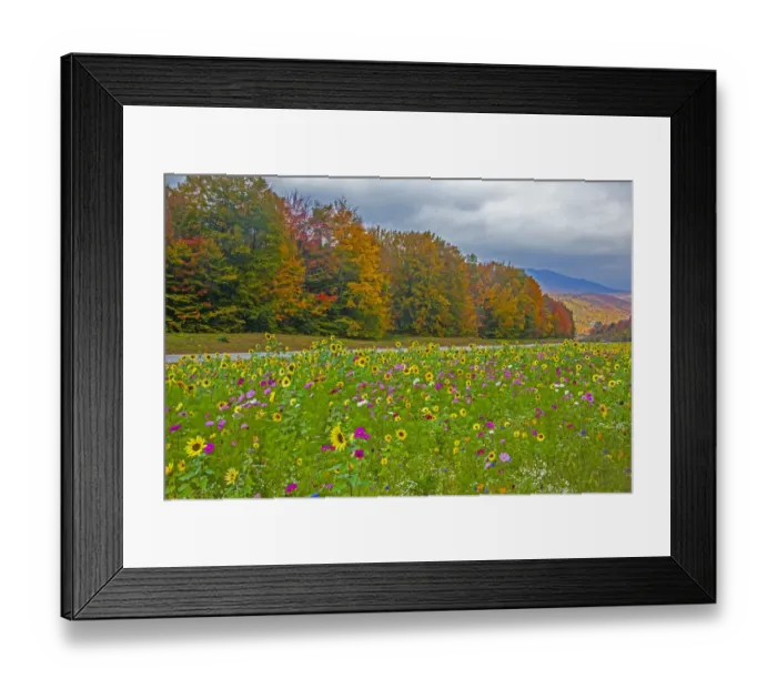 Framed Print : USA, New Hampshire, White Mountains in background with meridian planted with flowers
