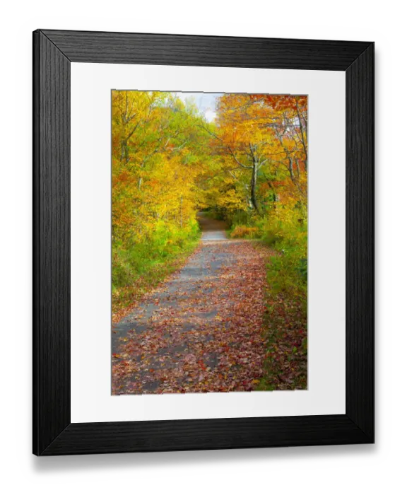 Framed Print : USA, New Hampshire, Franconia, one lane roadway with fallen Autumn leaves