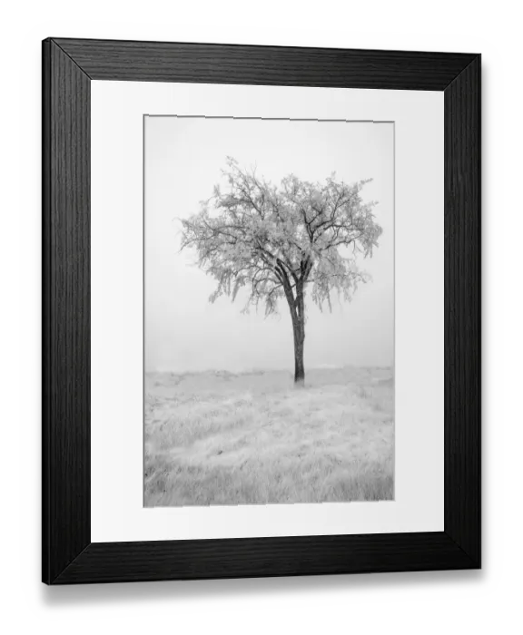 Framed Print : USA, Minnesota, Duluth, Park Point, Boardwalk over Dunes