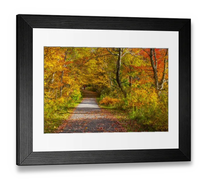 Framed Print : USA, New Hampshire, Franconia, one lane roadway with fallen Autumn leaves