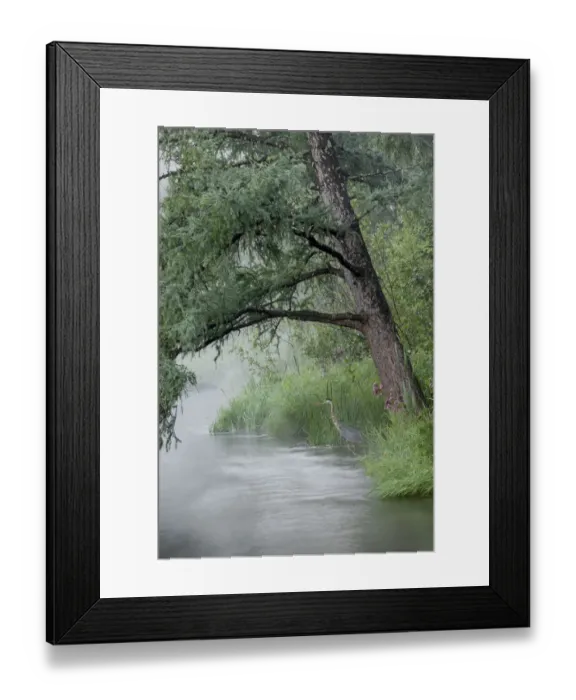 Framed Print : USA, Minnesota, Itasca State Park, Mississippi Headwaters Framed Print : USA, Minnesota, Itasca State Park, Mississippi Headwaters