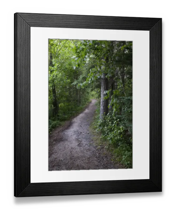 Framed Print : USA, Minnesota, La Salle State Recreation Area
