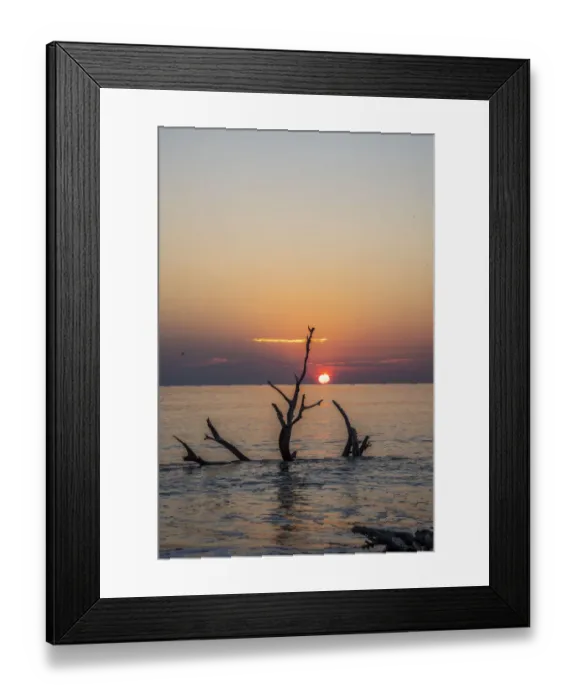 Framed Print : USA, Georgia, Jekyll Island, Sunrise on Driftwood Beach of petrified trees