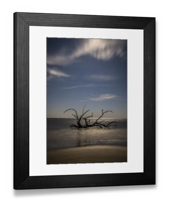 Framed Print : USA, Georgia, Jekyll Island, Sunset at Driftwood Beach and the petrified trees