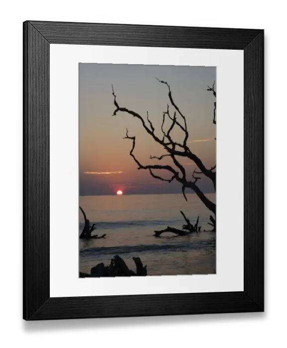Framed Print : USA, Georgia, Jekyll Island, Sunrise on Driftwood Beach of petrified trees Framed Print : USA, Georgia, Jekyll Island, Sunrise on Driftwood Beach of petrified trees