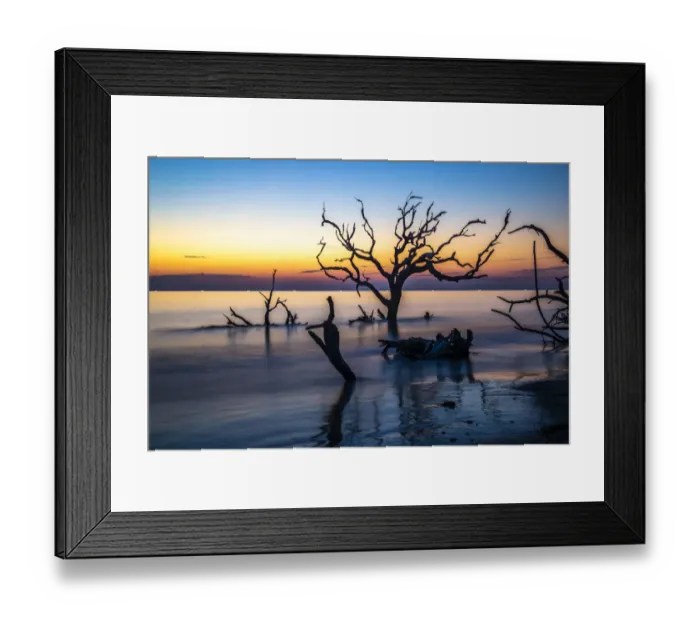 Framed Print : USA, Georgia, Jekyll Island, Sunrise on Driftwood Beach of petrified trees Framed Print : USA, Georgia, Jekyll Island, Sunrise on Driftwood Beach of petrified trees
