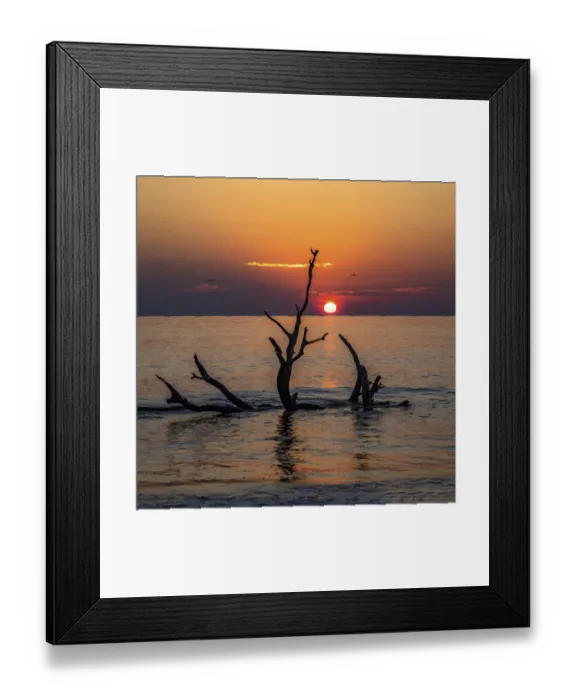 Framed Print : USA, Georgia, Jekyll Island, Sunrise on Driftwood Beach of petrified trees