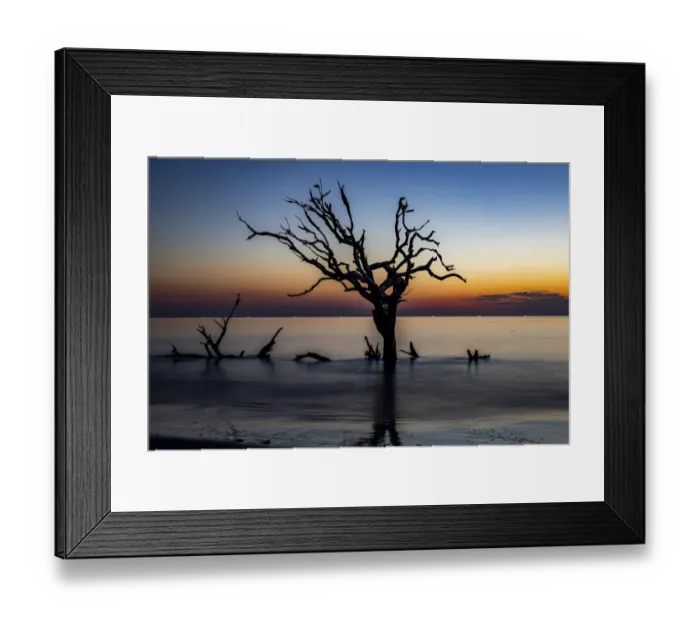 Framed Print : USA, Georgia, Jekyll Island, Sunrise on Driftwood Beach of petrified trees Framed Print : USA, Georgia, Jekyll Island, Sunrise on Driftwood Beach of petrified trees