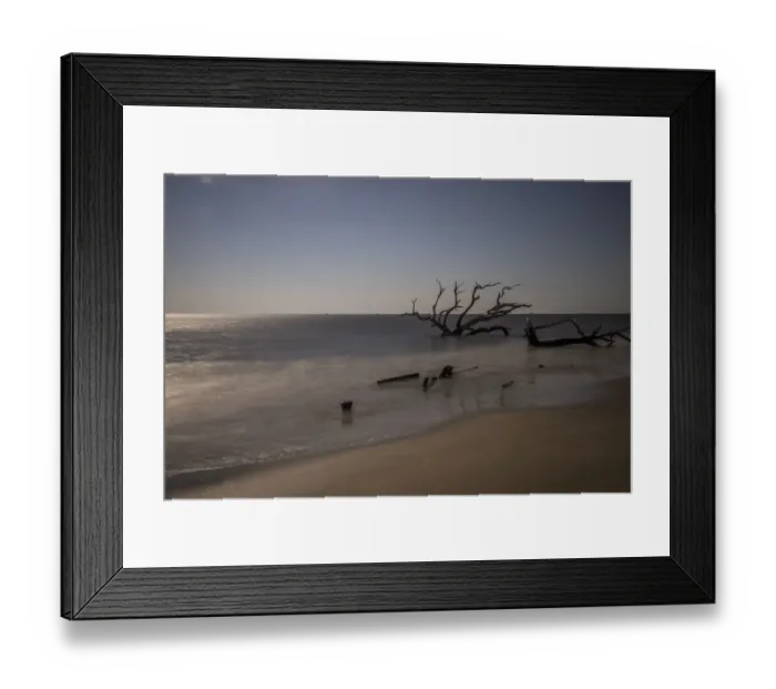 Framed Print : USA, Georgia, Jekyll Island, Sunset at Driftwood Beach and the petrified trees Framed Print : USA, Georgia, Jekyll Island, Sunset at Driftwood Beach and the petrified trees
