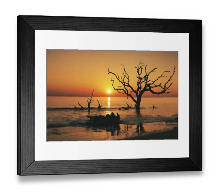 Framed Print : USA, Georgia, Jekyll Island, Sunrise on Driftwood Beach of petrified trees