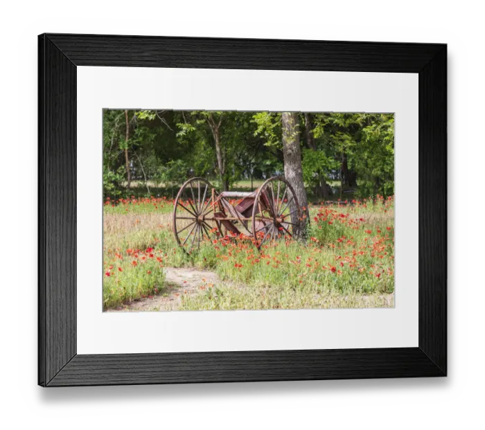 Framed Print : Castroville, Texas, USA. (Editorial Use Only) Rusted antique farm equipment in a field of Framed Print : Castroville, Texas, USA. (Editorial Use Only) Rusted antique farm equipment in a field of