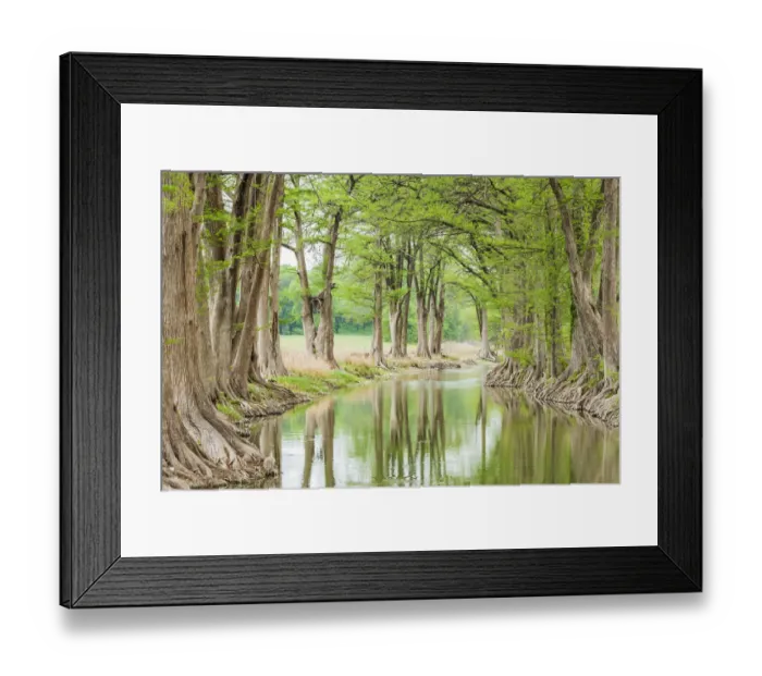 Framed Print : Waring, Texas, USA. Trees along the Guadalupe River in the Texas Hill Country