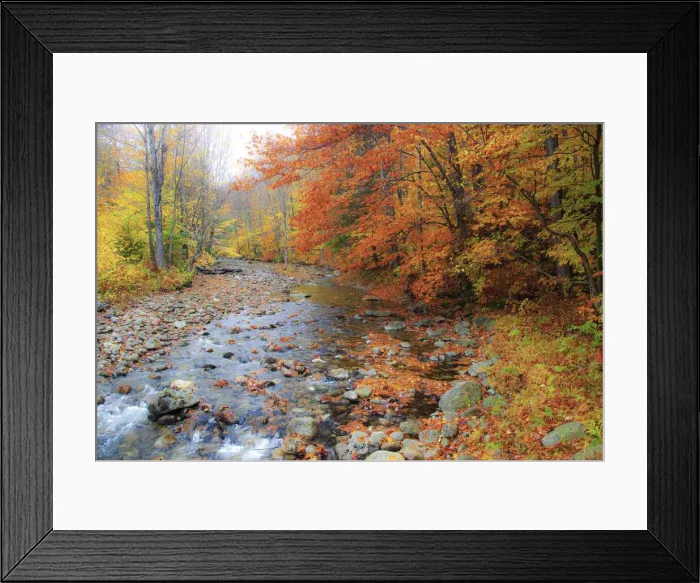Framed Print : USA, New Hampshire Autumn colors on Maple, Beech trees along the edge of the river Framed Print : USA, New Hampshire Autumn colors on Maple, Beech trees along the edge of the river