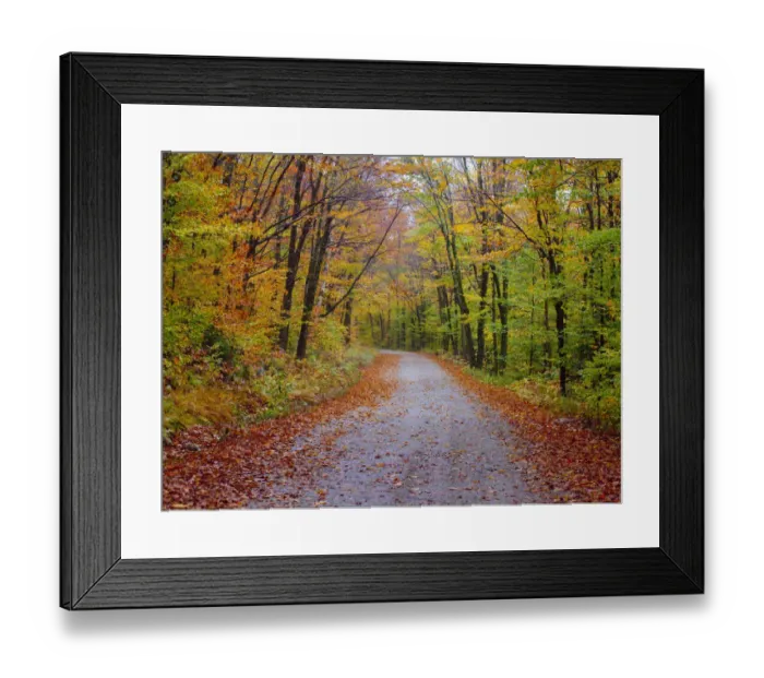Framed Print : USA, New Hampshire, Sugar Hill wet and foggy morning along roadway in Autumn colors Framed Print : USA, New Hampshire, Sugar Hill wet and foggy morning along roadway in Autumn colors