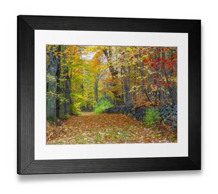 Framed Print : USA, New Hampshire leaf covered lane Autumn colors and stone fence Framed Print : USA, New Hampshire leaf covered lane Autumn colors and stone fence