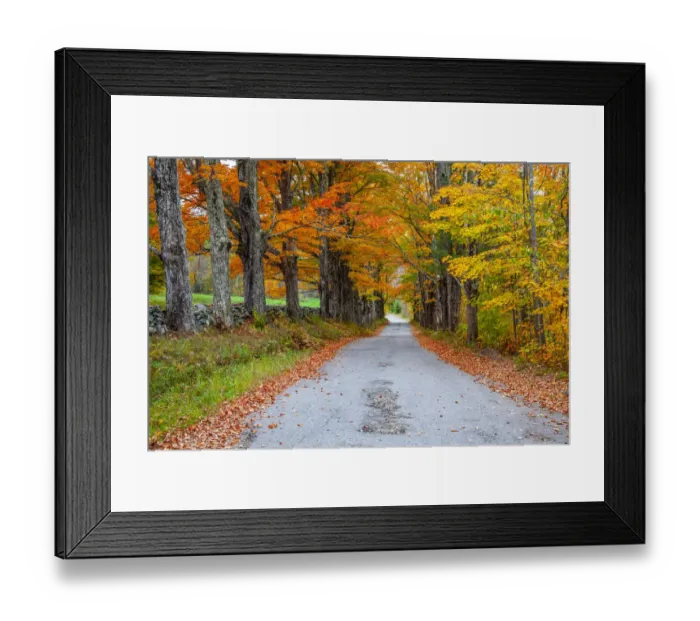 Framed Print : USA, New Hampshire, One lane road lined with Maple trees and stone fence in Autumn Framed Print : USA, New Hampshire, One lane road lined with Maple trees and stone fence in Autumn
