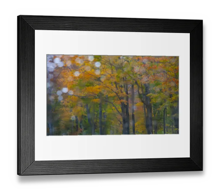 Framed Print : USA, New Hampshire, Sugar Hill looking through windshield on rainy day with Hardwood
