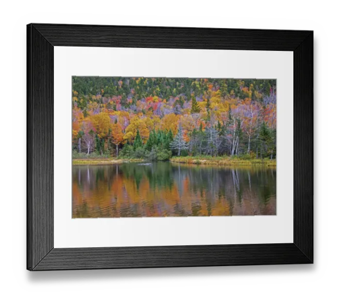 Framed Print : USA, New Hampshire, New England Fall colors reflected in the waters of the Saco River Framed Print : USA, New Hampshire, New England Fall colors reflected in the waters of the Saco River