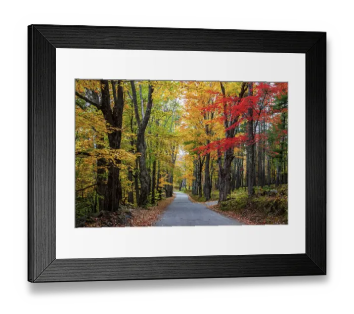 Framed Print : USA, New Hampshire, tree-lined road with maple trees in Fall colors Framed Print : USA, New Hampshire, tree-lined road with maple trees in Fall colors