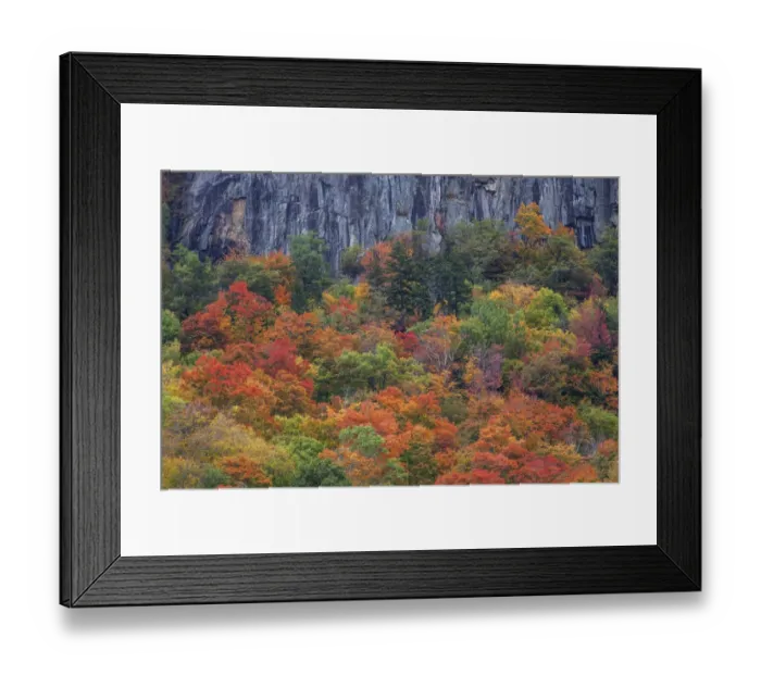 Framed Print : USA, New Hampshire, New England Crawford Notch Sate Park along highway 302 in Fall color
