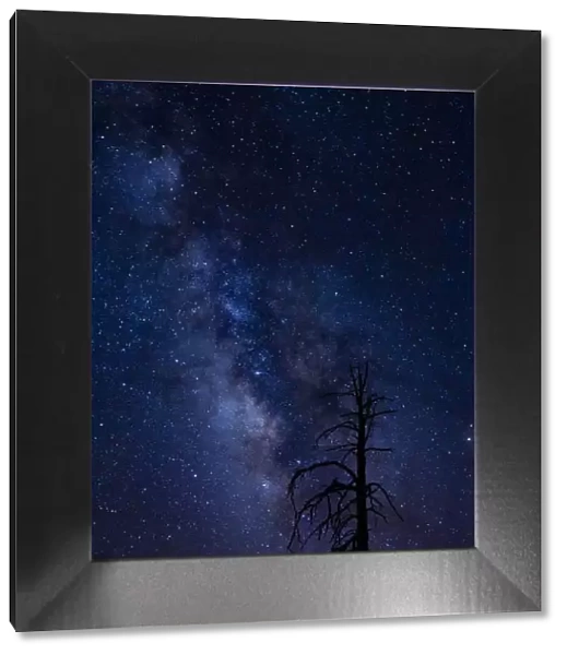 Milky way over the Carson National Forest, Tres Piedras, New Mexico