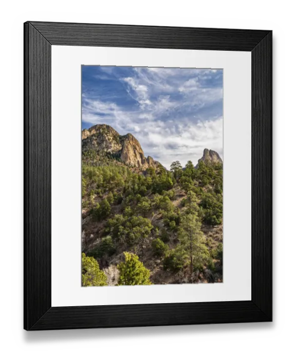 Framed Print : USA, New Mexico, Sandia Mountains. Mountain and forest landscape
