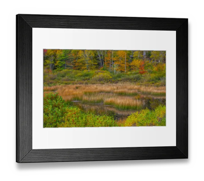 Framed Print : USA, New England, Maine, Mt. Desert Island, Acadia National park with lily pads in small