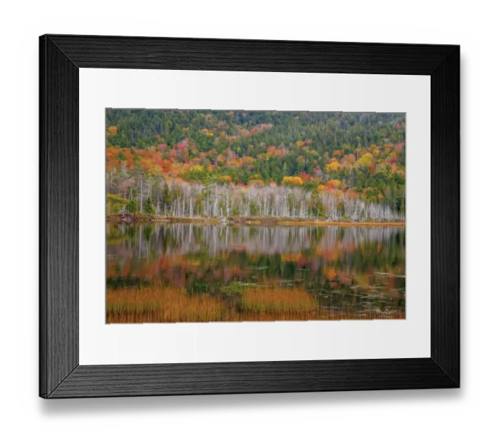 Framed Print : USA, New England, Maine, Mt. Desert Island, Acadia National Park with small lake with Framed Print : USA, New England, Maine, Mt. Desert Island, Acadia National Park with small lake with