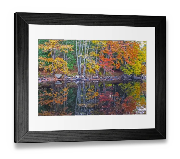 Framed Print : USA, New England, Maine, Lake with Fall colors reflected in calm water Framed Print : USA, New England, Maine, Lake with Fall colors reflected in calm water