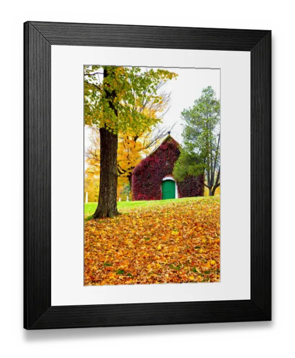 Framed Print : USA, New England, Vermont old brick building covered with ivy in Fall color Framed Print : USA, New England, Vermont old brick building covered with ivy in Fall color