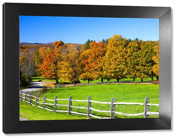 USA, New England, Vermont countryside with curved gravel road fence in Autumn