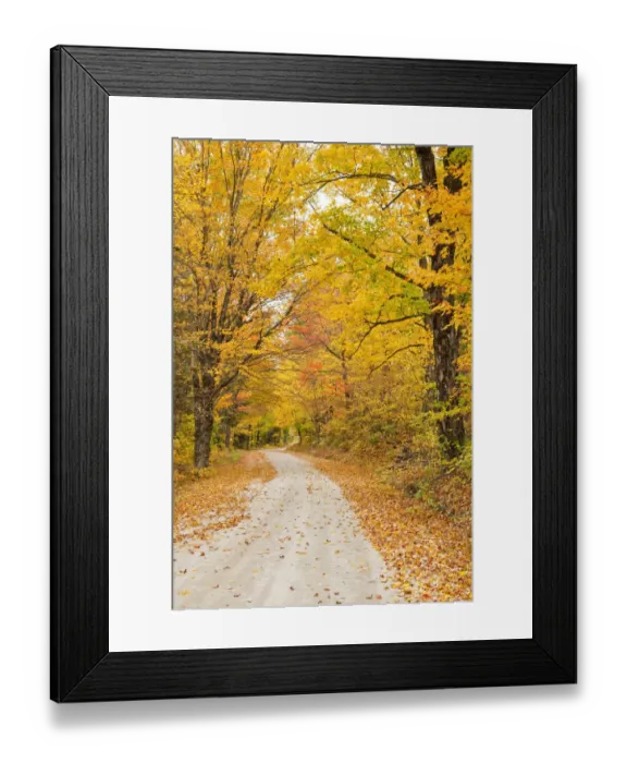 Framed Print : USA, New England, Vermont tree-lined roadway in Autumns Fall colors Framed Print : USA, New England, Vermont tree-lined roadway in Autumns Fall colors