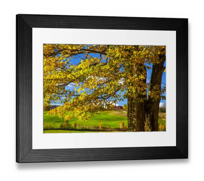 Framed Print : USA, New England, Vermont red barn in the countryside with Fall colors Framed Print : USA, New England, Vermont red barn in the countryside with Fall colors