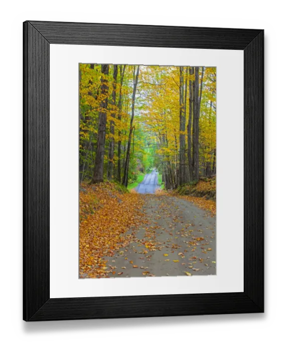 Framed Print : USA, New England, Vermont tree-lined roadway in Autumns Fall colors Framed Print : USA, New England, Vermont tree-lined roadway in Autumns Fall colors