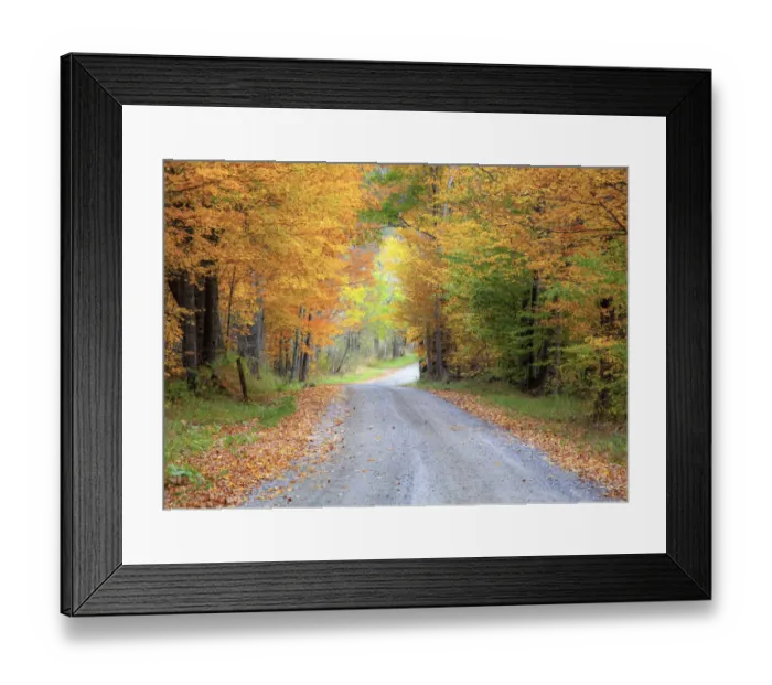 Framed Print : USA, New England, Vermont tree-lined roadway in Autumns Fall colors