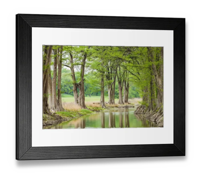Framed Print : Waring, Texas, USA. Trees along the Guadalupe River in the Texas Hill Country Framed Print : Waring, Texas, USA. Trees along the Guadalupe River in the Texas Hill Country