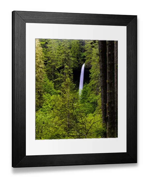 Framed Print : USA, Oregon, Silver Falls State Park, North Falls Framed Print : USA, Oregon, Silver Falls State Park, North Falls