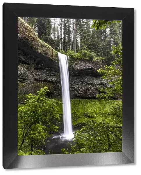 USA, Oregon, Silver Falls State Park, South Falls